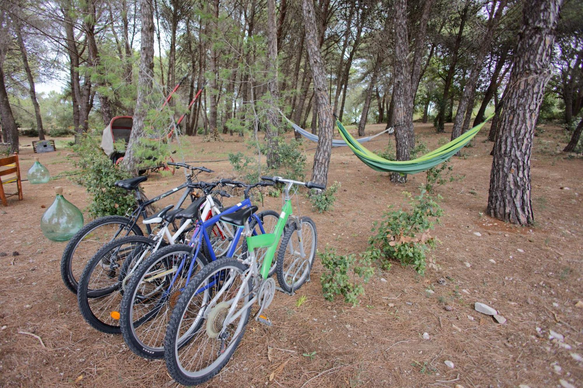 Ad Un Passo Da Cisternino - Trulli Con Foresta, Bici E Barbecue Exterior foto